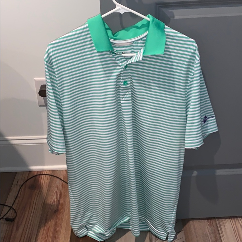 Green and white striped polo